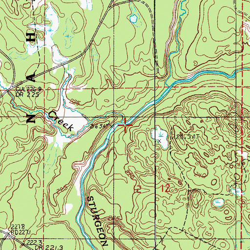Topographic Map of Little Black Creek, MI