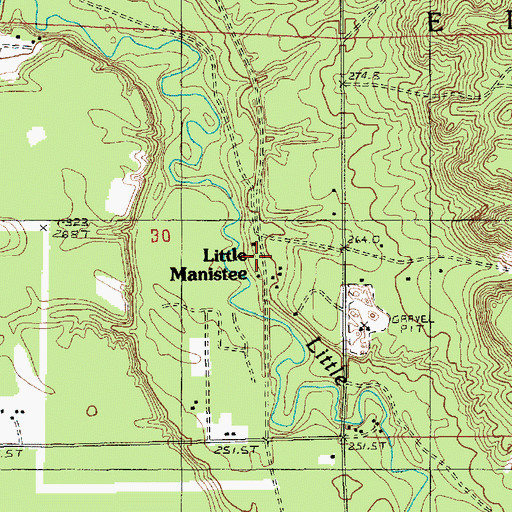 Topographic Map of Little Manistee, MI