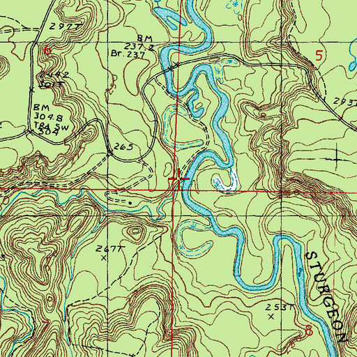 Topographic Map of Little Silver River, MI