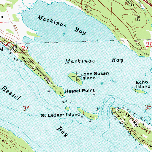 Topographic Map of Lone Susan Island, MI
