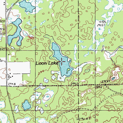 Topographic Map of Loon Lake, MI
