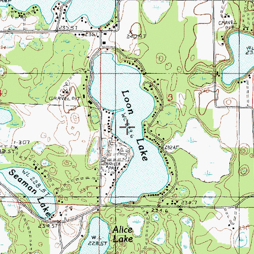Topographic Map of Loon Lake, MI