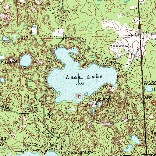 Topographic Map of Loon Lake, MI