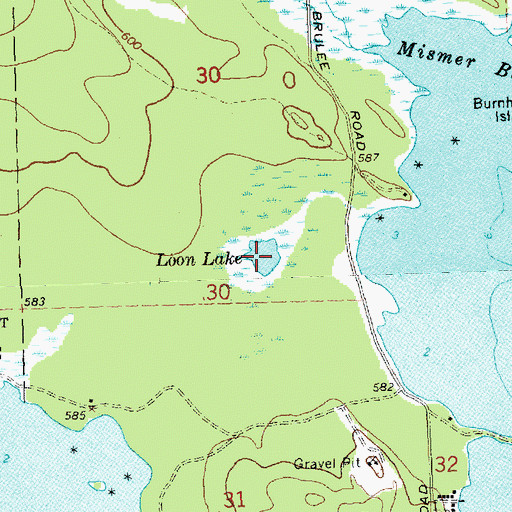 Topographic Map of Loon Lake, MI