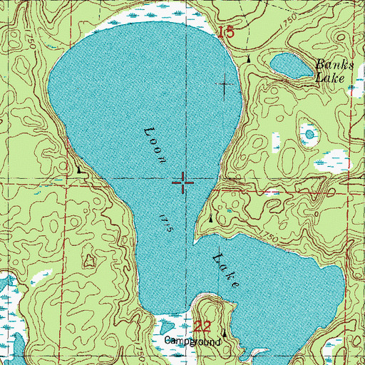 Topographic Map of Loon Lake, MI