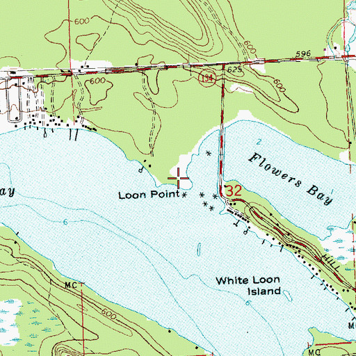 Topographic Map of Loon Point, MI