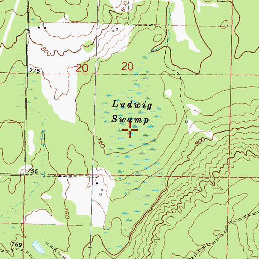Topographic Map of Ludwig Swamp, MI