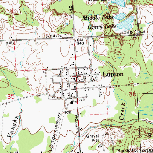 Topographic Map of Lupton, MI