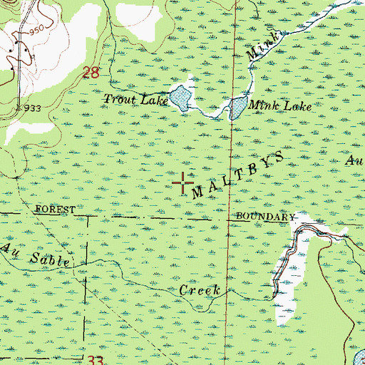 Topographic Map of Maltbys Swamp, MI