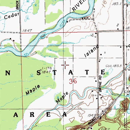 Topographic Map of Maple Island, MI
