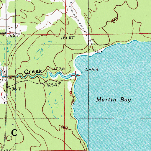 Topographic Map of Martin Creek, MI