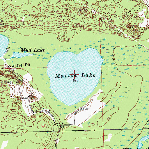 Topographic Map of Martin Lake, MI