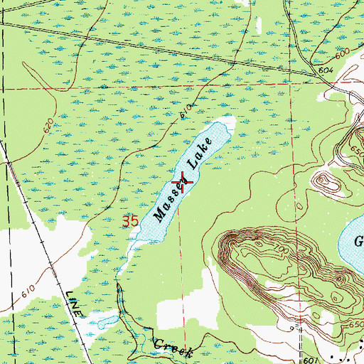 Topographic Map of Massey Lake, MI