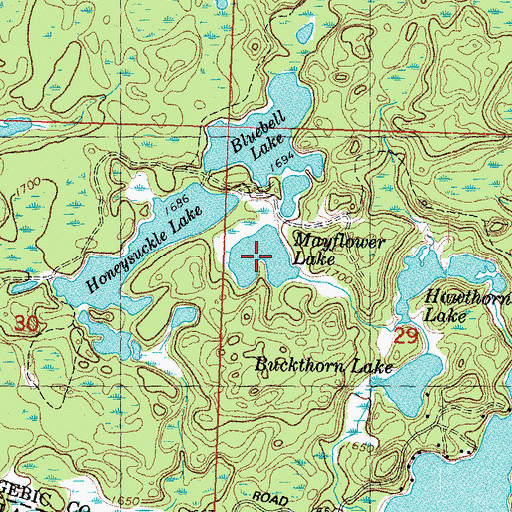Topographic Map of Mayflower Lake, MI