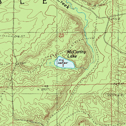Topographic Map of McCarthy Lake, MI