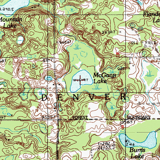Topographic Map of McGann Lake, MI