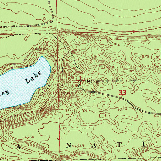 Topographic Map of McNearney Lake Tower, MI