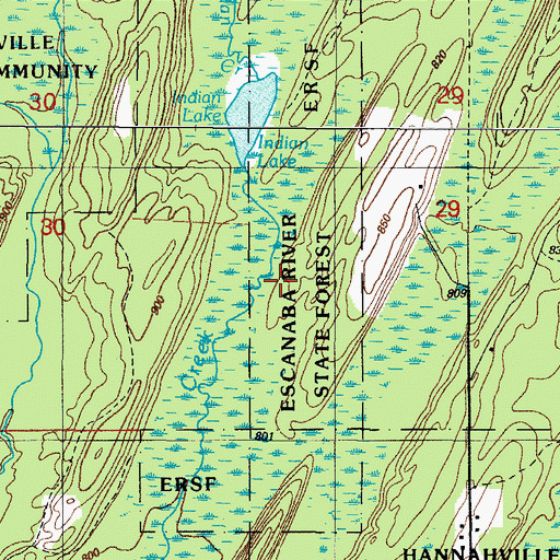 Topographic Map of Escanaba River State Forest, MI