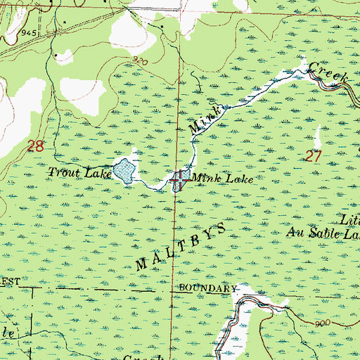 Topographic Map of Mink Lake, MI