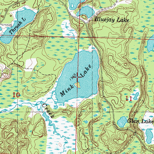 Topographic Map of Mink Lake, MI