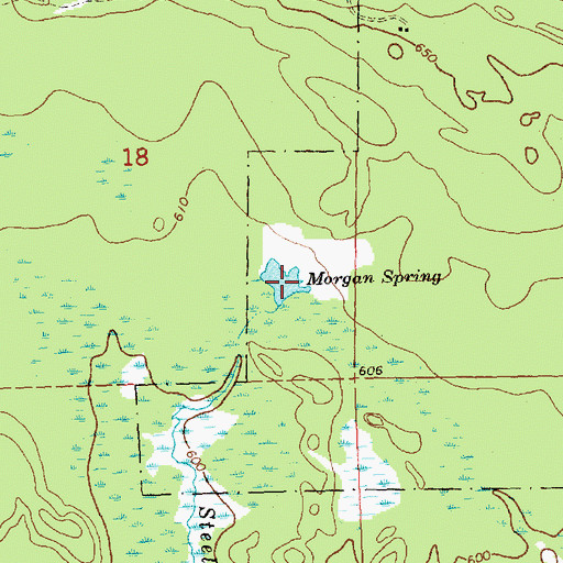 Topographic Map of Morgan Spring, MI