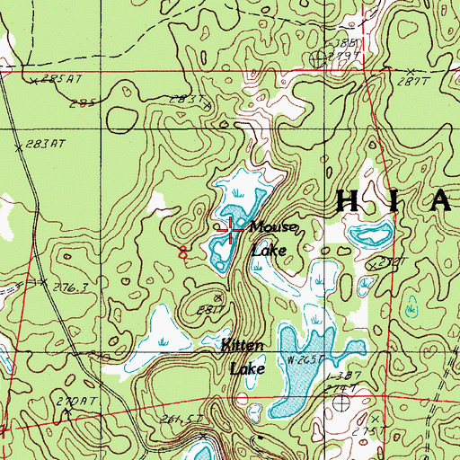Topographic Map of Mouse Lake, MI