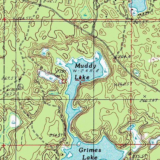 Topographic Map of Muddy Lake, MI