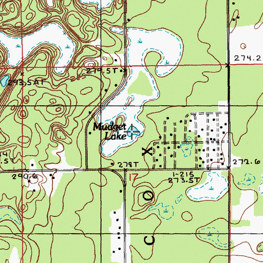 Topographic Map of Mudget Lake, MI