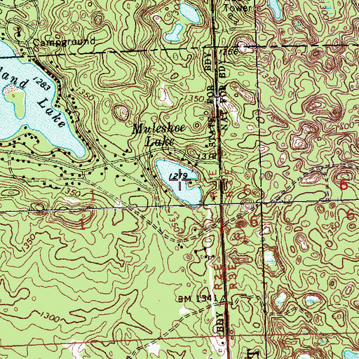 Topographic Map of Muleshoe Lake, MI
