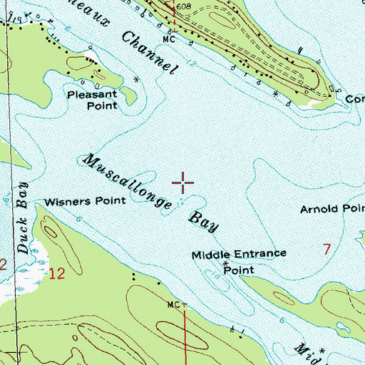 Topographic Map of Muscallonge Bay, MI