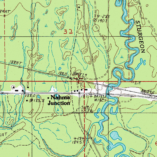 Topographic Map of Nahma Junction, MI