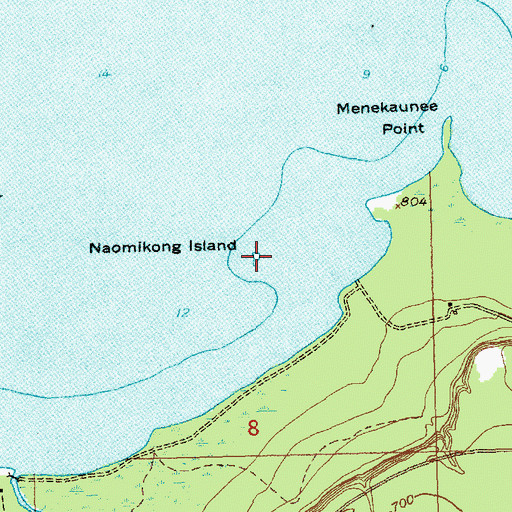 Topographic Map of Naomikong Island, MI
