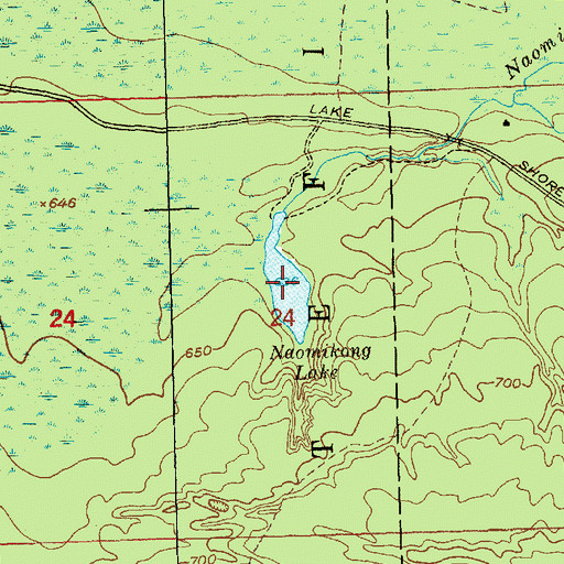 Topographic Map of Naomikong Lake, MI