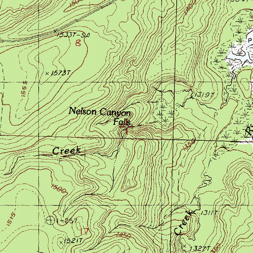 Topographic Map of Nelson Canyon Falls, MI