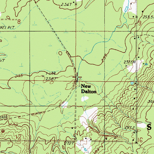 Topographic Map of New Dalton, MI
