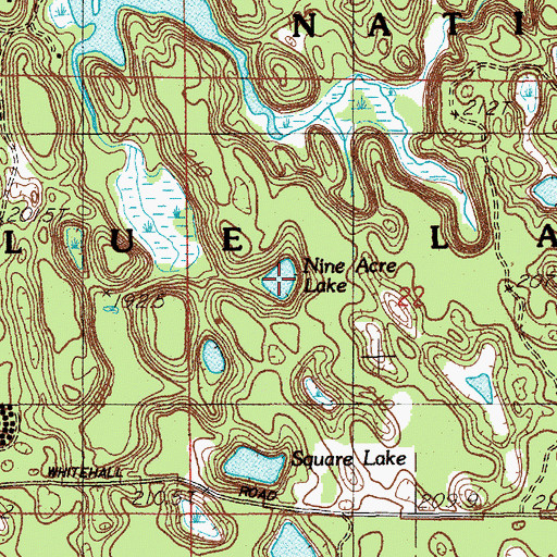 Topographic Map of Nine Acre Lake, MI