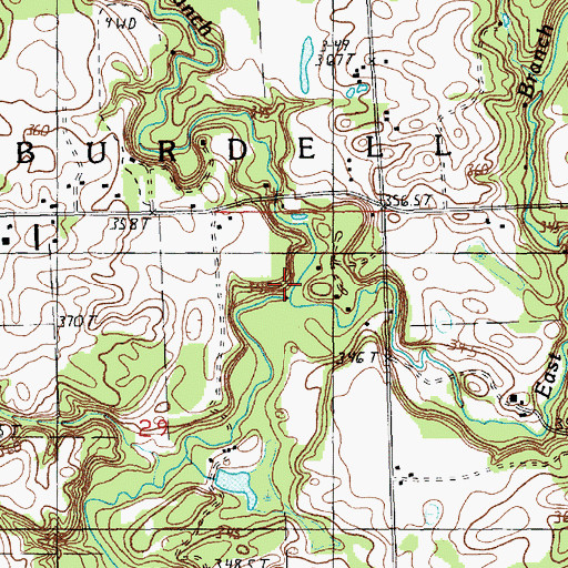 Topographic Map of North Branch Pine River, MI