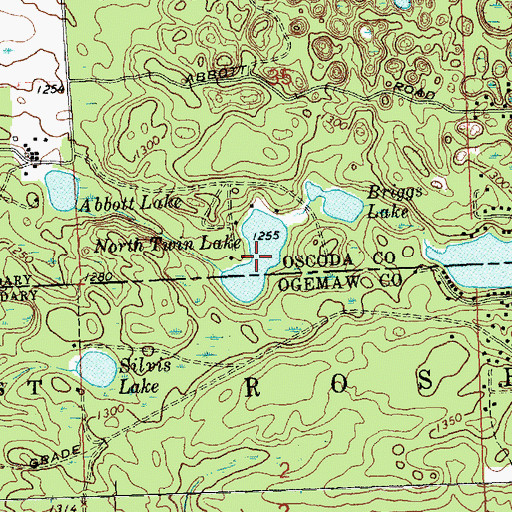 Topographic Map of North Twin Lake, MI