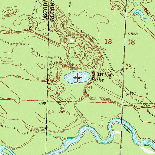 Topographic Map of O'Brien Lake, MI