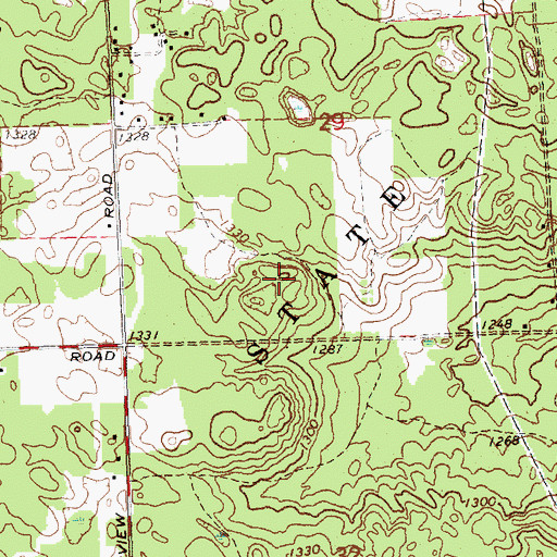 Topographic Map of Ogemaw State Forest, MI