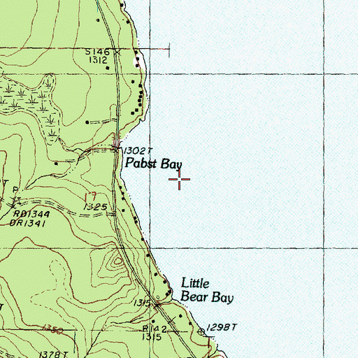 Topographic Map of Pabst Bay, MI