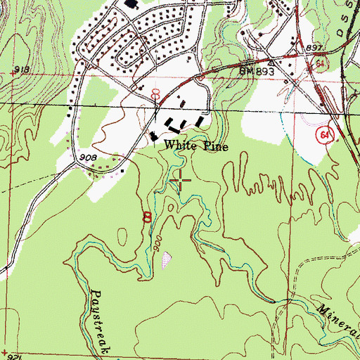 Topographic Map of Paystreak Creek, MI