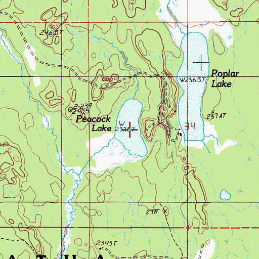 Topographic Map of Peacock Lake, MI