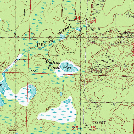 Topographic Map of Pelton Pond, MI