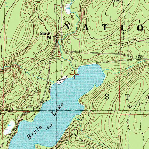 Topographic Map of Pendleton Creek, MI