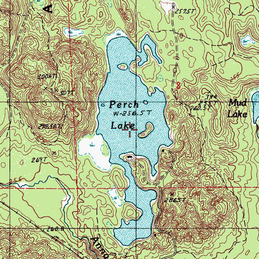 Topographic Map of Perch Lake, MI