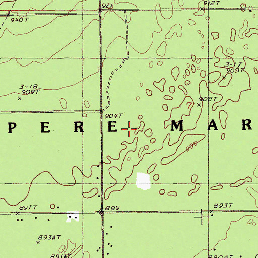 Topographic Map of Pere Marquette State Forest, MI
