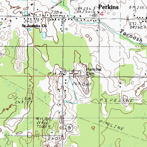 Topographic Map of Perkins Cemetery, MI