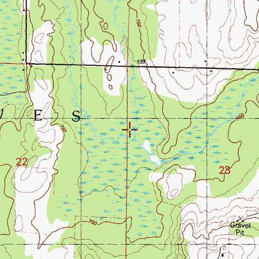 Topographic Map of Pettis Creek, MI