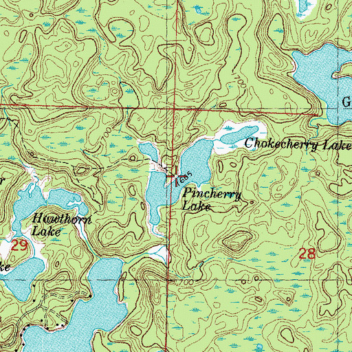 Topographic Map of Pincherry Lake, MI